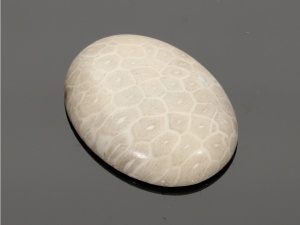 Jaspis fossil 40x30mm [1szt.]