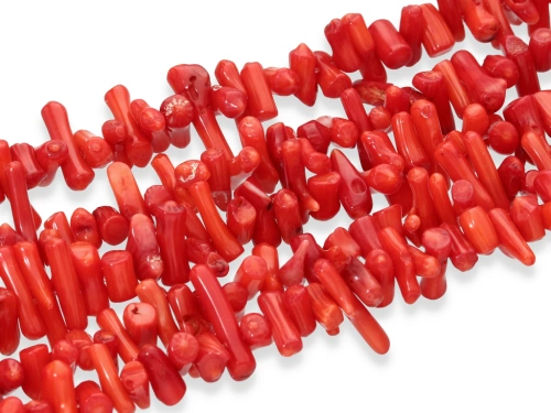 Koral "sieczka" ~ 15 x 3 - 7 x 4 mm [~18cm]