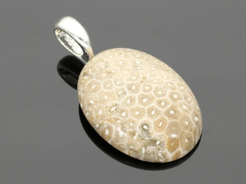 Jaspis fossil 40x30mm [1szt.]