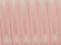 021800516161.jpg