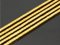 8501704a.jpg