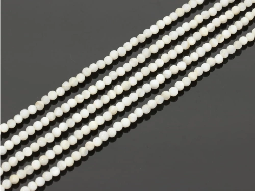 Muszla słodkowodna ok.3mm [~37cm]