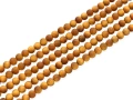 02262000606.jpg