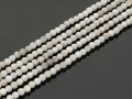 8805004a.jpg