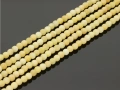 8805104a.jpg