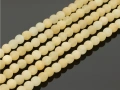 8805106a.jpg
