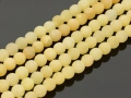 8805108a.jpg