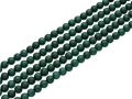 8813506.jpg