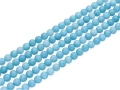 8813206.jpg