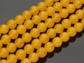 8813710a.jpg