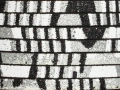02173260501.jpg