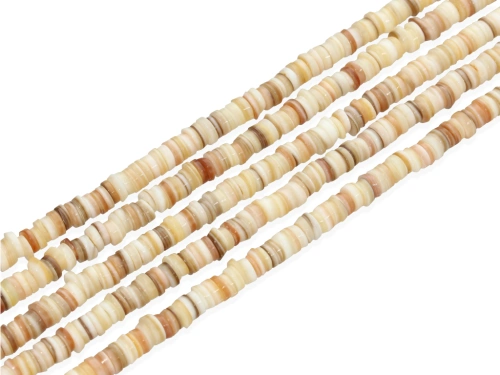 Muszla naturalna plasterki ok.6mm [~39cm]