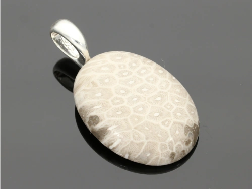 Jaspis fossil 40x30mm [1szt.]