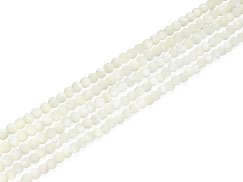 Muszla trochusa ok. 4mm [~39cm]