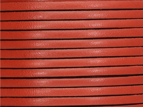 6221003231.jpg