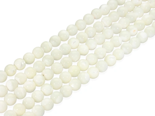 Muszla trochusa 8mm [~39cm]