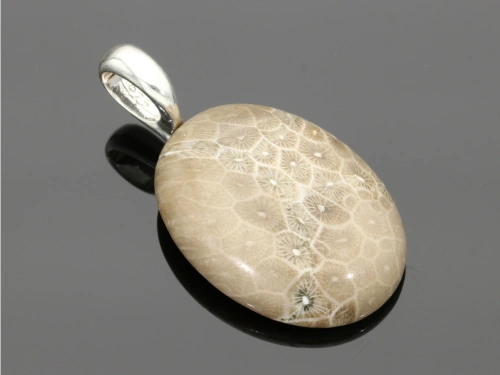 Jaspis fossil 40x30mm [1szt.]