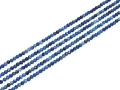 25200203x.jpg