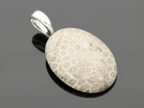 Jaspis fossil 40x30mm [1szt.]