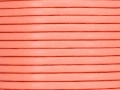 622100384.jpg