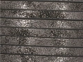 02173040502.jpg