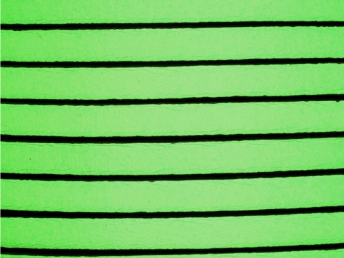 Rzemień naturalny płaski 5x1,8mm zielony neon [20cm]