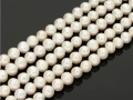 910001a.jpg