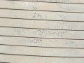 02173040509.jpg
