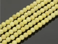 172500306a.jpg