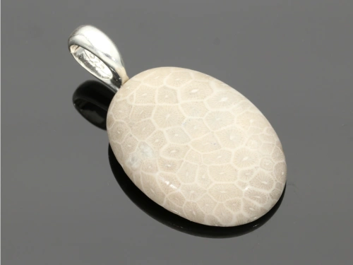 Jaspis fossil 40x30mm [1szt.]