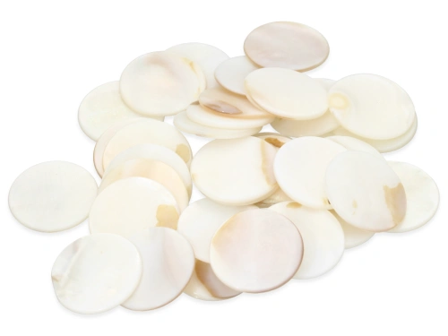 Muszla kaboszon moneta ok.20mm [2szt.]