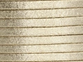 6541700527.jpg