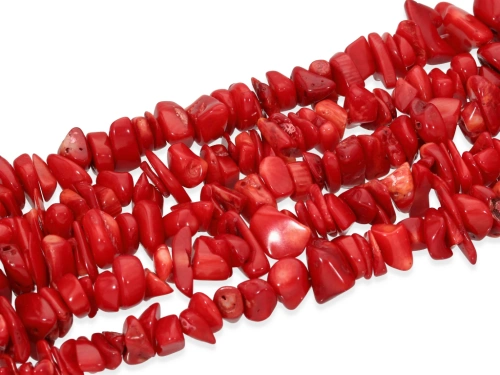 Koral "sieczka" ~ 5 - 15 x 5/~ 15 x 1 - 7 mm [~18cm]