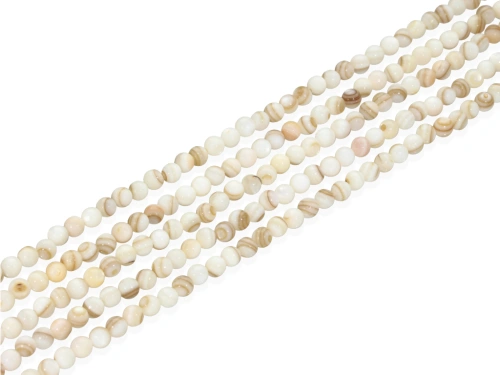 Muszla słodkowodna ok. 4,2mm [~38cm]