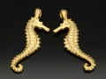 8340604a.jpg