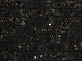 02173220502.jpg