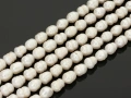910008a.jpg