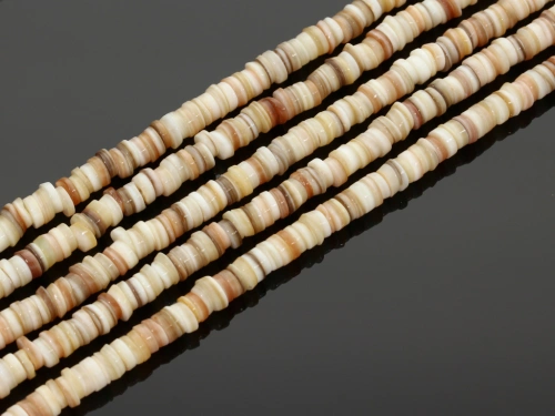 Muszla naturalna plasterki ok.6mm [~39cm]