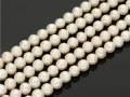 910010a.jpg
