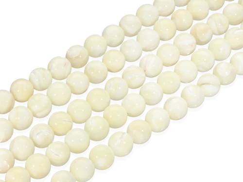 Muszla trochusa 10,3mm [~39cm]