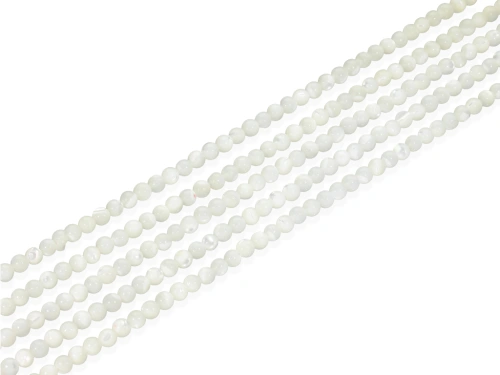 Muszla trochusa ok. 3,5mm [~39cm]